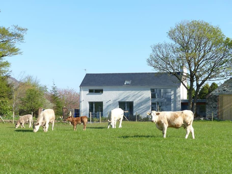 Barn Lane @ Drumagosker Rural Retreats Ardmore Kültér fotó